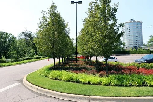Residential & Commercial Landscaping